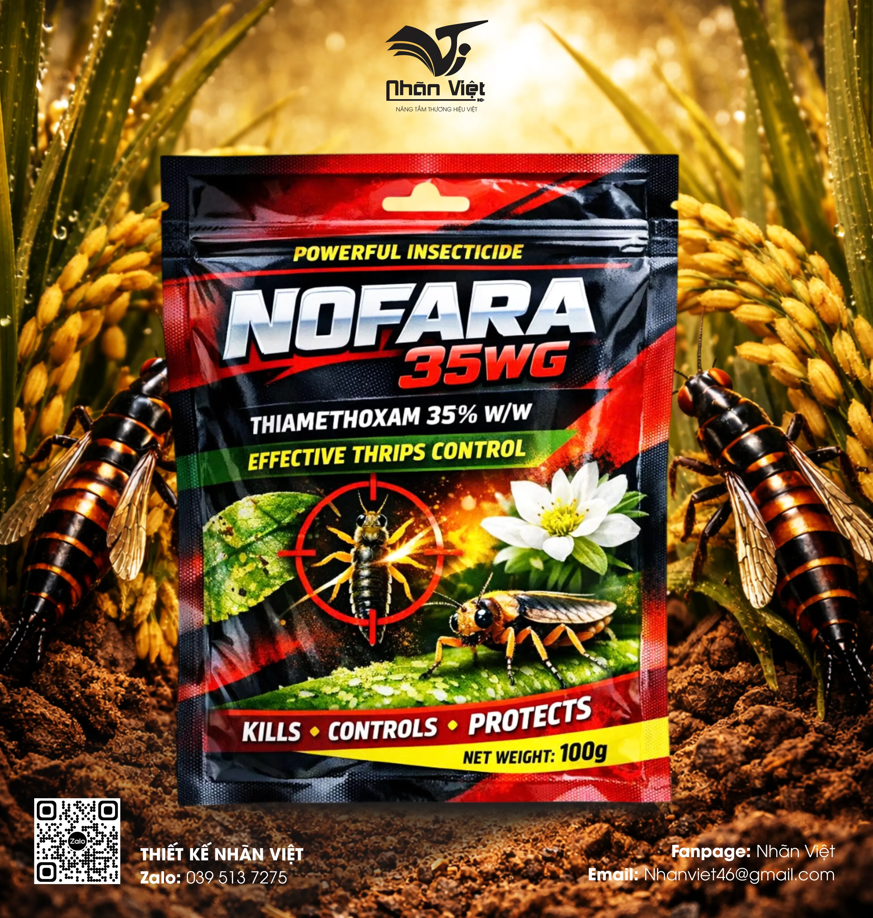 Nhãn mác & Bao bì